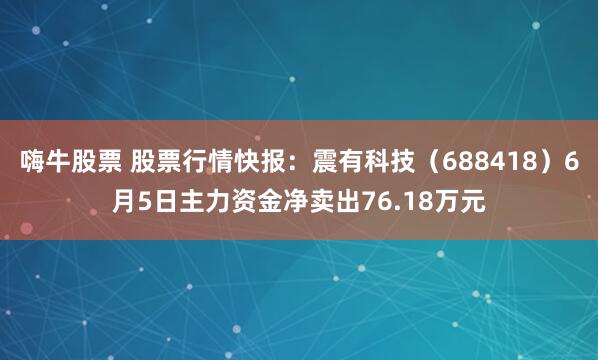 嗨牛股票 股票行情快报：震有科技（688418）6月5日主力资金净卖出76.18万元