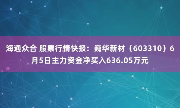 海通众合 股票行情快报：巍华新材（603310）6月5日主力资金净买入636.05万元