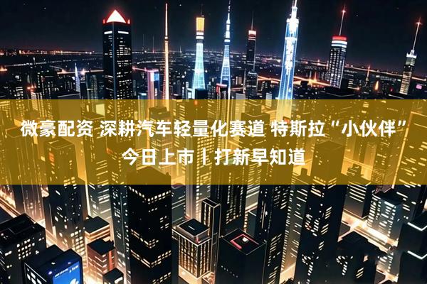 微豪配资 深耕汽车轻量化赛道 特斯拉“小伙伴”今日上市丨打新早知道