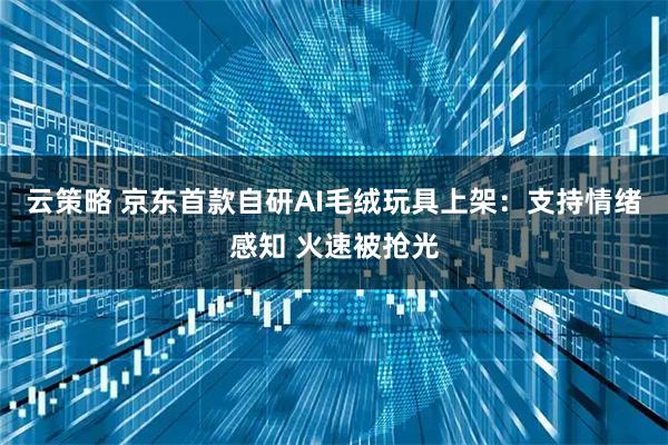 云策略 京东首款自研AI毛绒玩具上架:支持情绪感知 火速被抢光